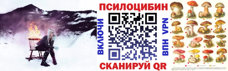 Купить  Дербент  Псилоцибиновые грибы Magic Shrooms 